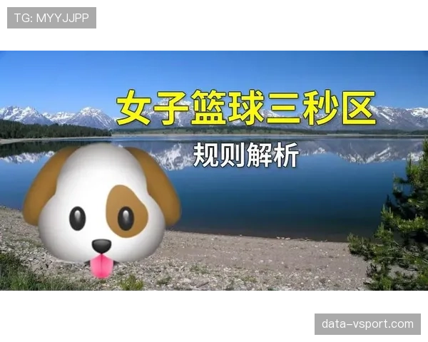 篮球三秒区规则中的进攻防守限制与判罚标准详细解析